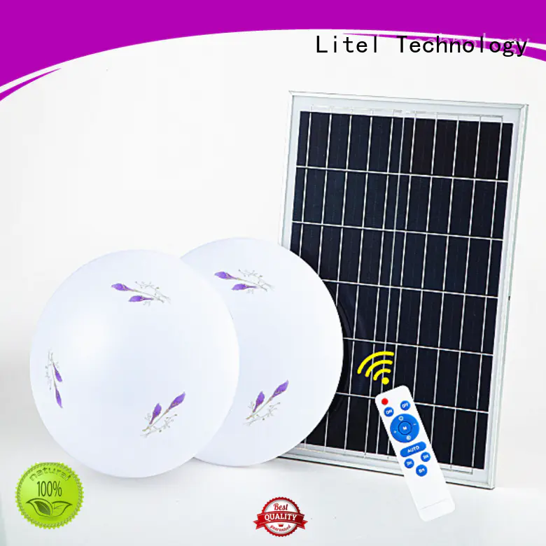 at discount solar ceiling light OBM for road