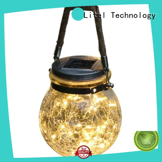 Litel Technology beautiful garden string lights at discount for customization