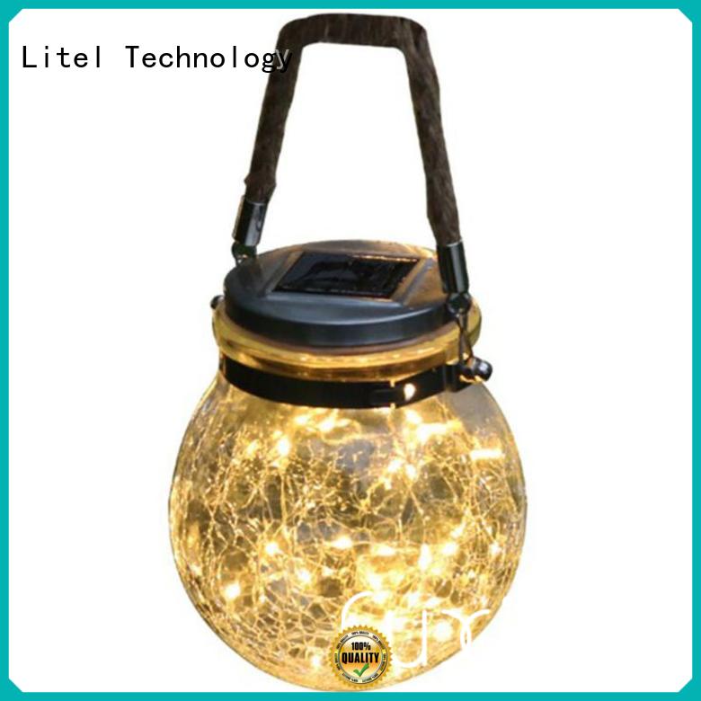 beautiful decorative garden light popular for customization Litel Technology